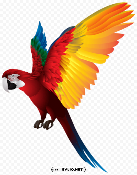 parrot ClearCut Background Isolated PNG Art