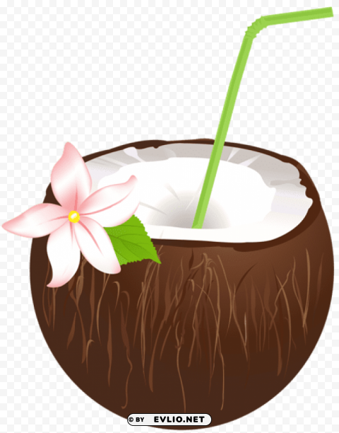 summer coconut drink PNG images with no royalties