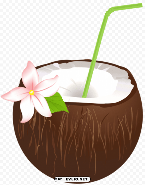 Summer Coconut Drink PNG Images With No Royalties