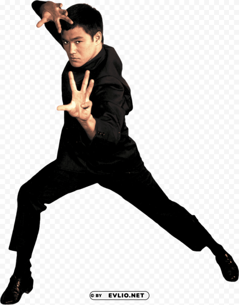 bruce lee PNG images with transparent canvas compilation
