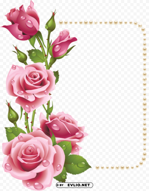large frame with pink roses and pearls Transparent PNG Object Isolation