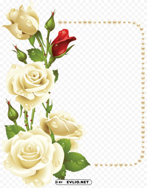 large frame with white roses and pearls Transparent PNG Isolation of Item