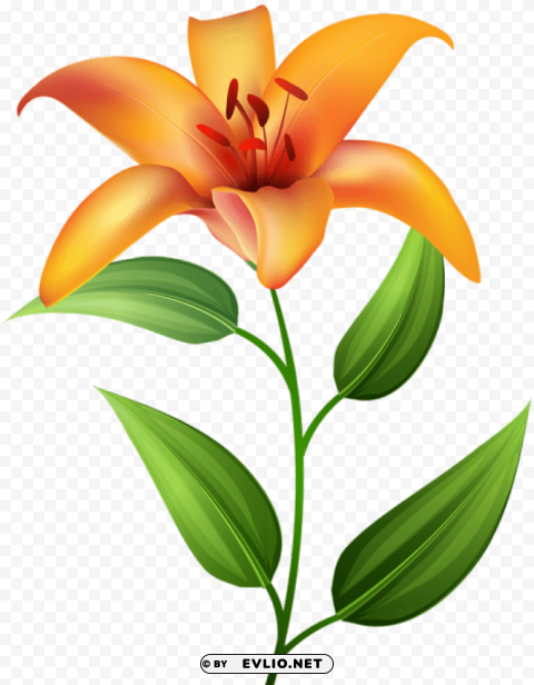 PNG image of orange lilium Transparent PNG images database with a clear background - Image ID 76dc924f