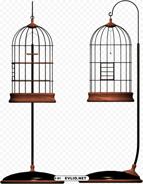 bird cage PNG files with no backdrop wide compilation
