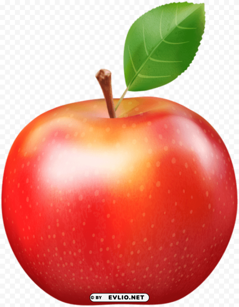 fresh red apple PNG transparent images for printing