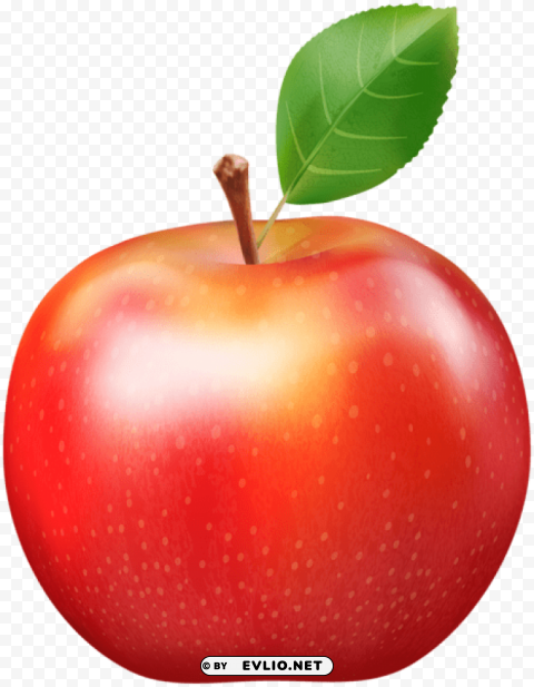 Fresh Red Apple PNG Transparent Images For Printing