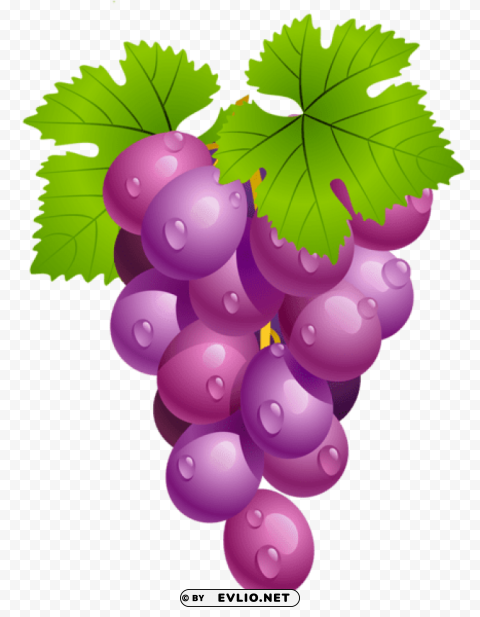 grapes with leavespicture PNG Graphic with Isolated Transparency