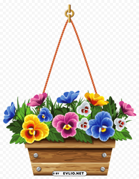 Hanging Box With Violetspicture Transparent PNG Isolated Item