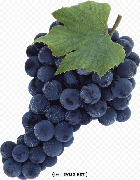 black grapes Isolated PNG on Transparent Background PNG images with transparent backgrounds - Image ID 6783a50f