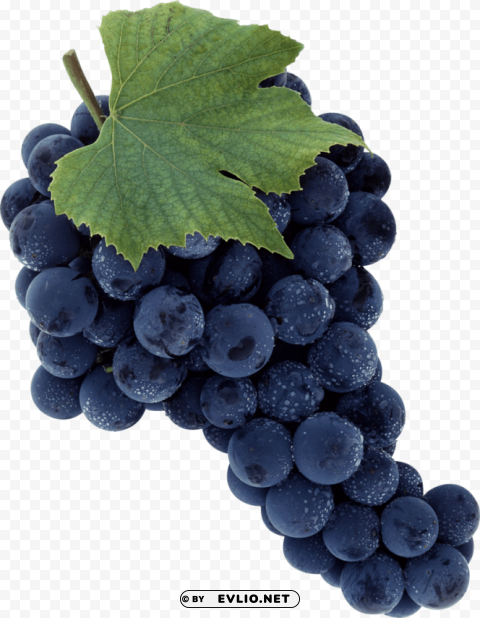 black grapes Isolated Subject on HighResolution Transparent PNG