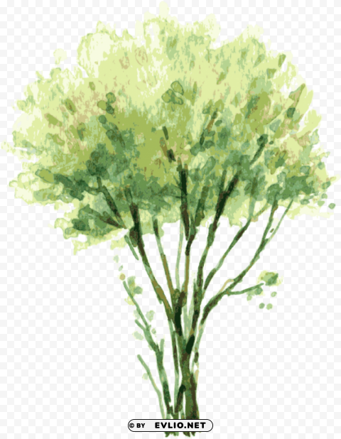 Watercolor Trees PNG Images With No Background Assortment