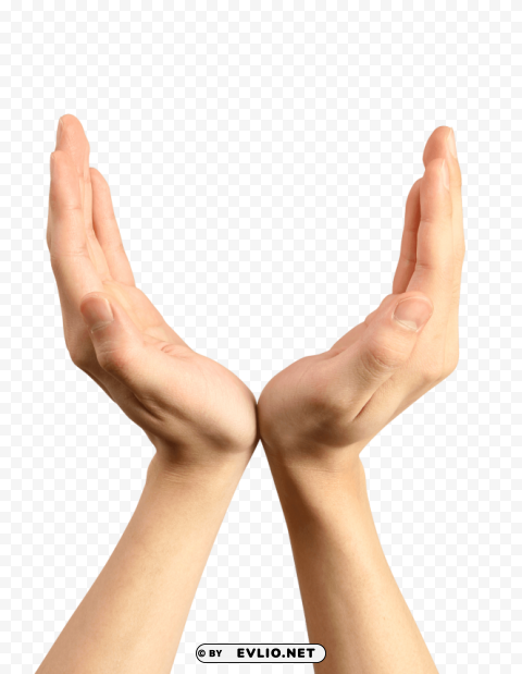 hands handp PNG with transparent overlay