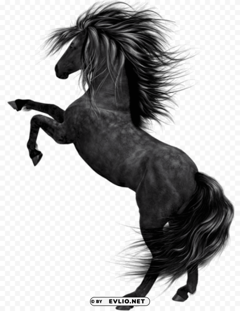 black horse art PNG for personal use