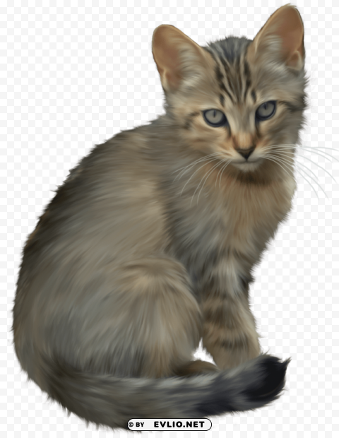 Cute Kitten PNG Graphics With Clear Alpha Channel Selection