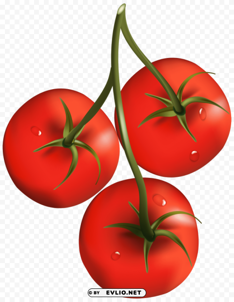 red tomatoes Isolated Graphic on Clear Transparent PNG