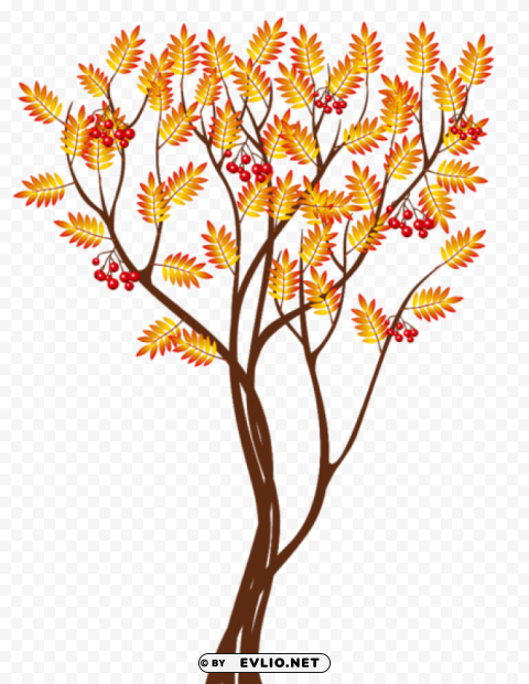  autumn tree Transparent Background Isolation of PNG