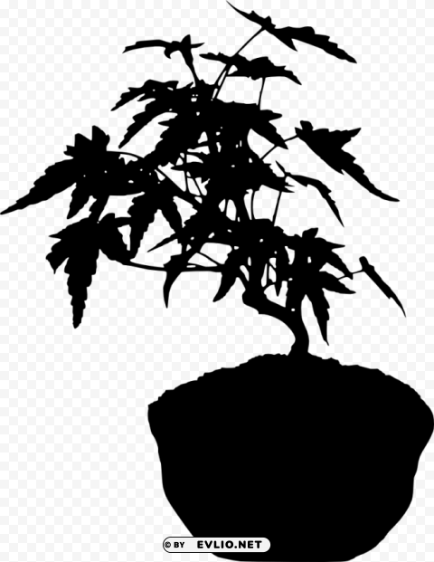 bonsai silhouette PNG graphics with clear alpha channel