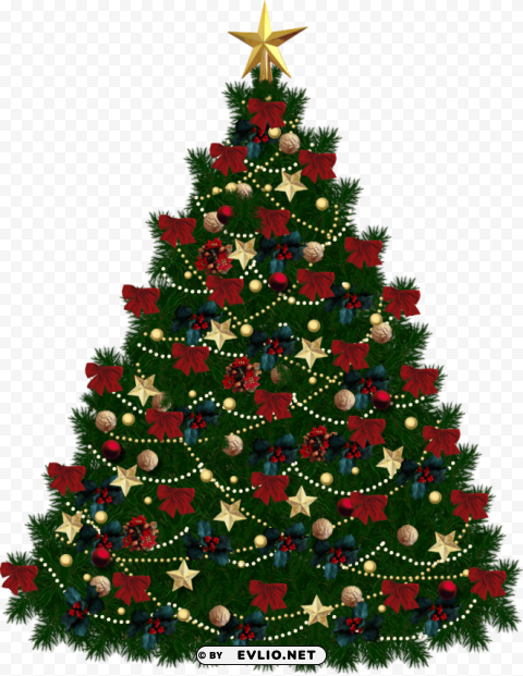 fir tree Isolated Object with Transparent Background in PNG