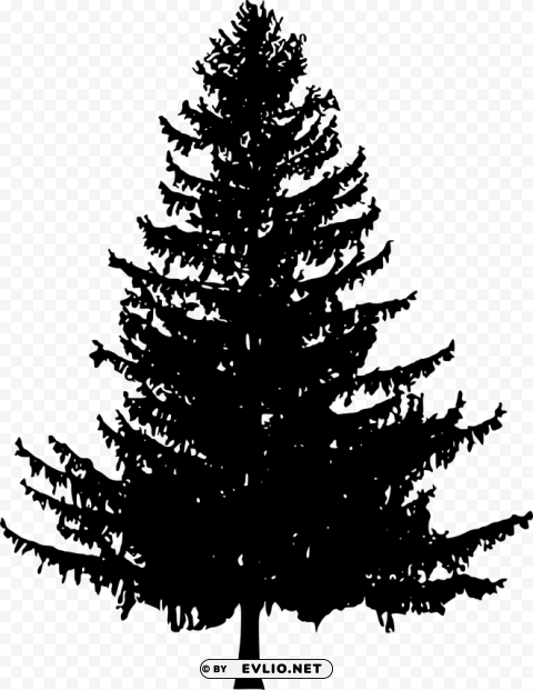 pine tree silhouette Isolated Character in Clear Background PNG