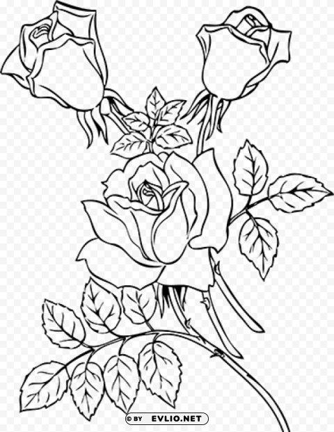 png rose outline s Alpha channel PNGs clipart png photo - 50c5cfdf