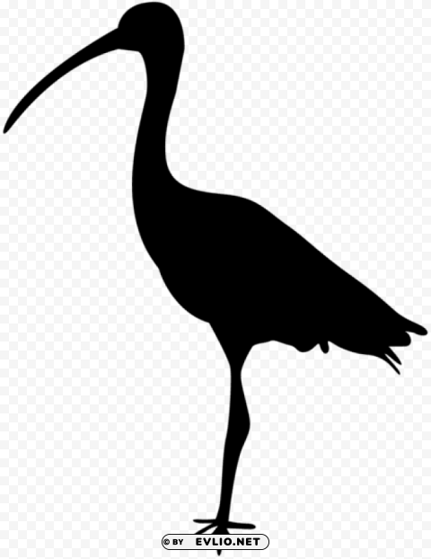 Bird Silhouette Clear PNG Image