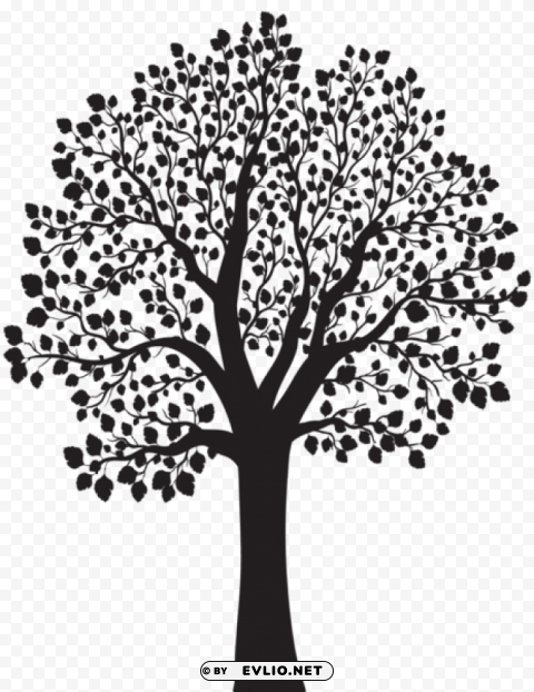 tree silhouette PNG Graphic Isolated with Clear Background