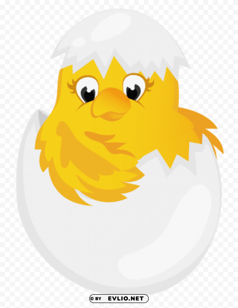 easter chicken in egg transparent PNG with clear background extensive compilation
