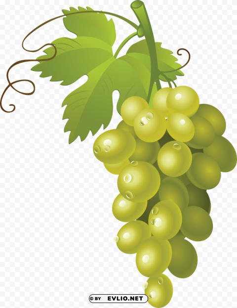 grapes Transparent Background Isolated PNG Figure