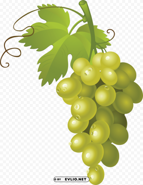 green grapes PNG Isolated Object with Clarity