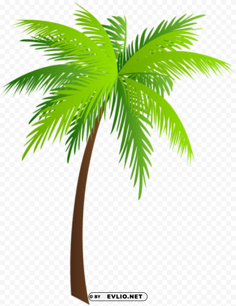 PNG image of palm Isolated Character with Transparent Background PNG with a clear background - Image ID f1d5a293