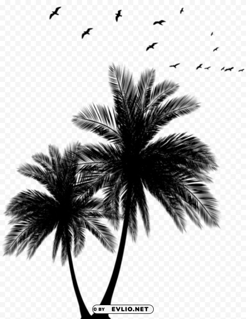 palms and flock silhouette PNG Image with Isolated Graphic