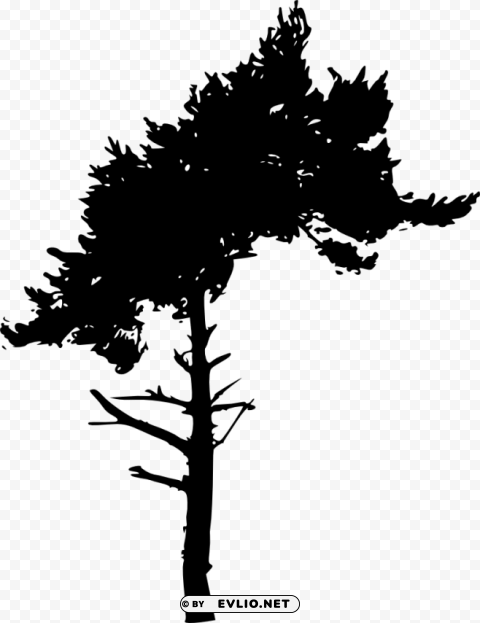 tree silhouette PNG graphics with alpha channel pack