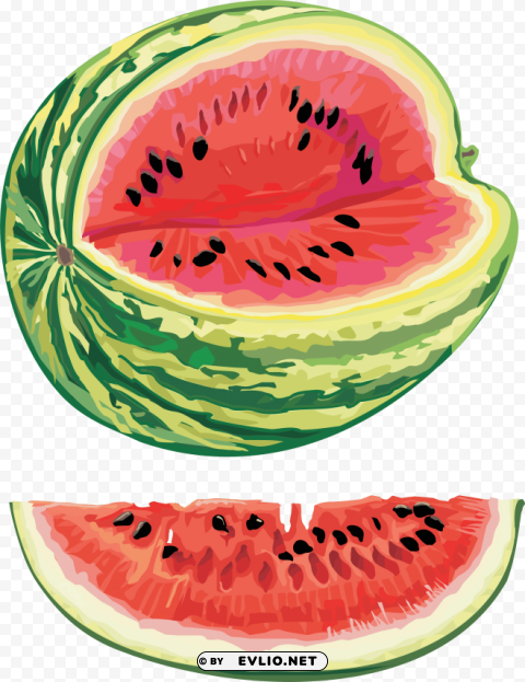 watermelon Clear background PNG images bulk