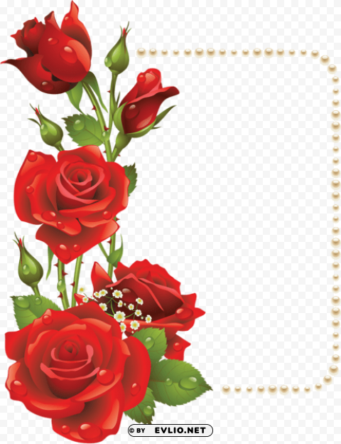 large frame with red roses and pearls Transparent PNG Object with Isolation