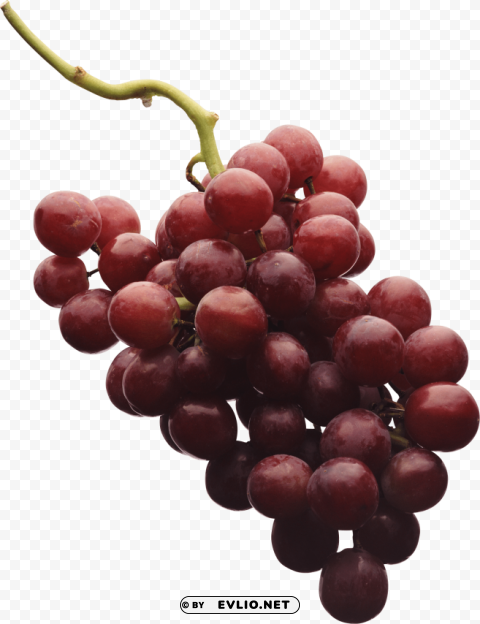 red grapes Isolated Object in HighQuality Transparent PNG