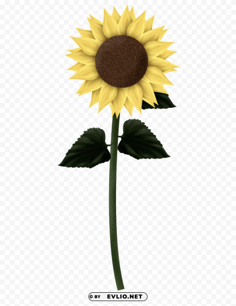 PNG image of sunflowers PNG Isolated Subject with Transparency with a clear background - Image ID 13e17097