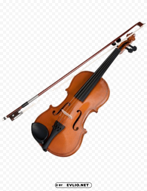 violin & bow HighQuality PNG with Transparent Isolation