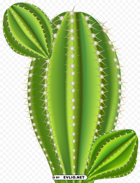 cactus Isolated PNG Graphic with Transparency