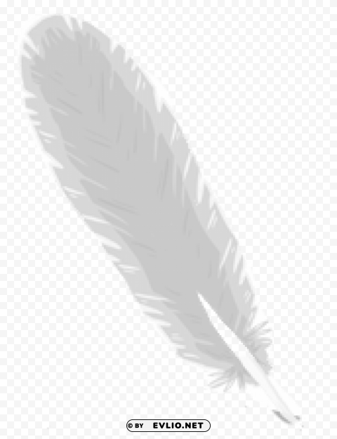 feather PNG transparent stock images