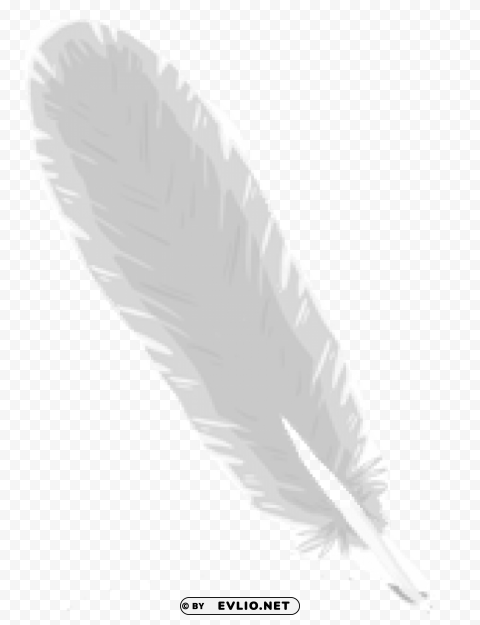 feather PNG transparent stock images png images background - Image ID 99a868f6