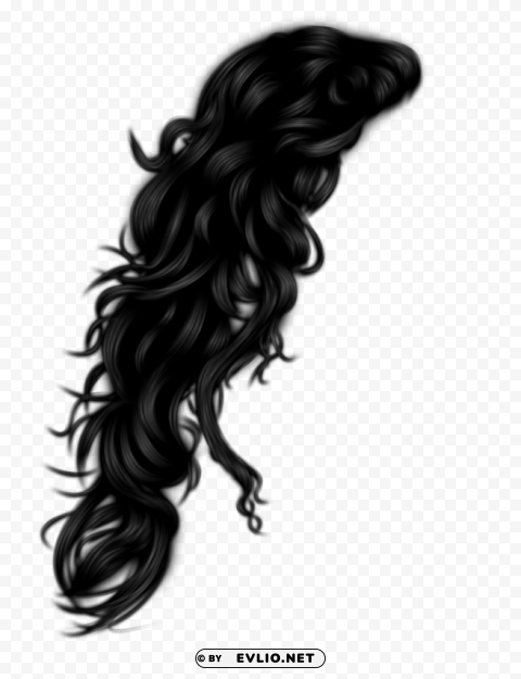 hair HighQuality Transparent PNG Isolation