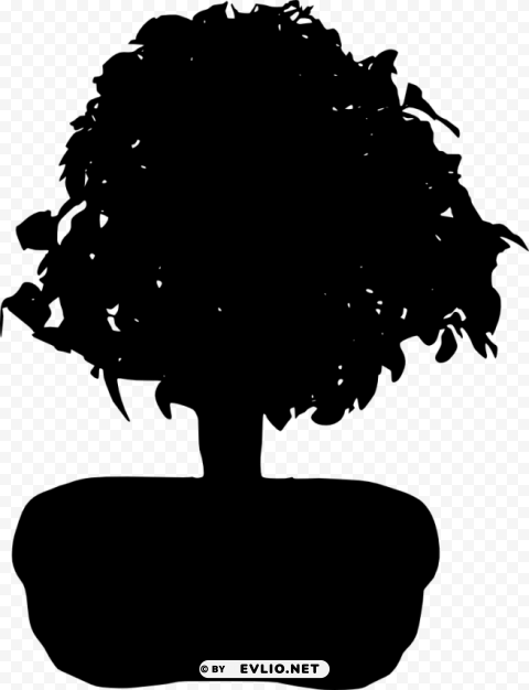 bonsai silhouette PNG Graphic with Transparency Isolation