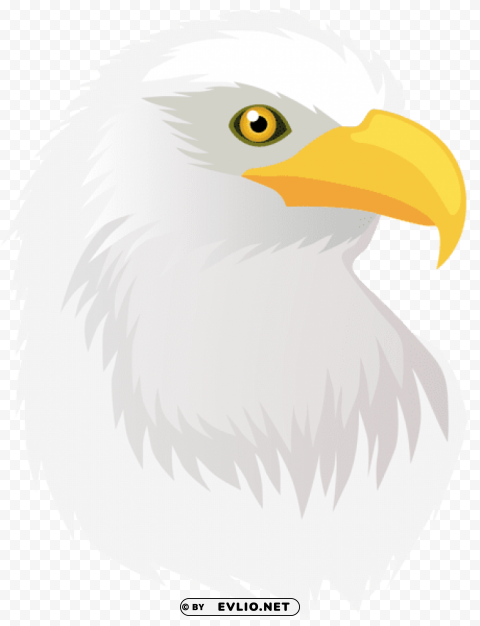 eagle head transparent HighResolution PNG Isolated Illustration