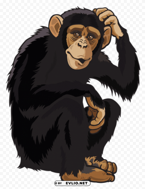 monkey PNG free download transparent background