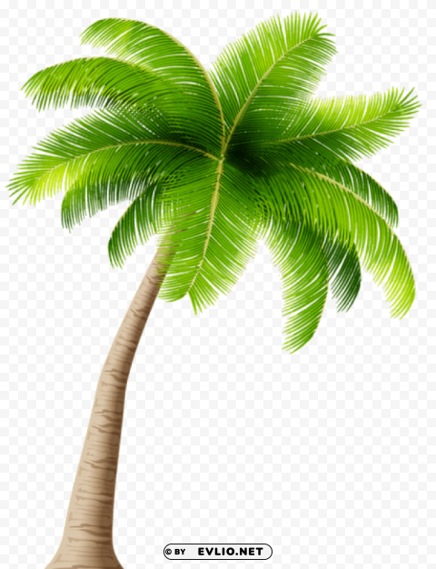 PNG image of palm Transparent Background Isolation in HighQuality PNG with a clear background - Image ID 17bcb350