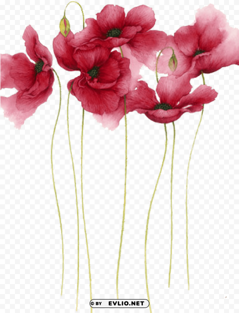 flower watercolor painting Isolated Subject with Transparent PNG PNG transparent with Clear Background ID 9b6e95b7