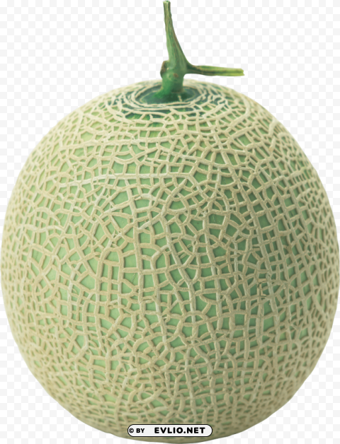 melon PNG transparent artwork