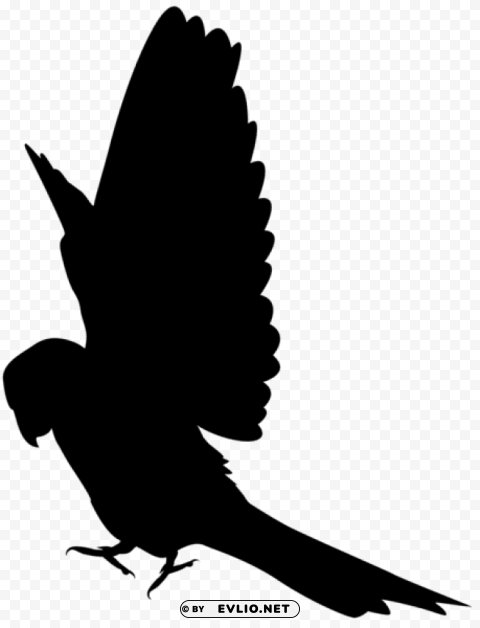 parrot silhouette Clear PNG pictures free