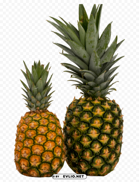 Pineapple Isolated Subject On HighQuality Transparent PNG