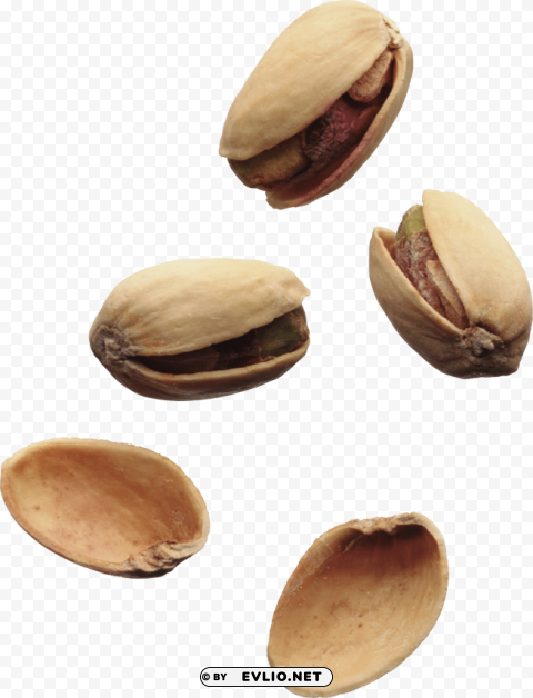pistachios PNG files with no backdrop wide compilation